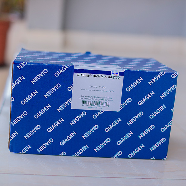 Qiagen DNA Extraction Kit